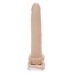 Picture of Accommodator Dual Penetrator - Ivory