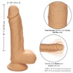 Picture of Dual Density - Silicone Studs 5”/12.75 cm - Ivory