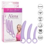 Picture of Dr. Laura Berman Alena Set of 3 Silicone Dilator