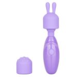 Picture of Dr. Laura Berman® Olivia™ Rech. Mini Massager