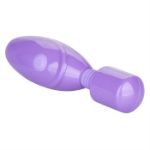 Picture of Dr. Laura Berman® Olivia™ Rech. Mini Massager