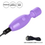 Picture of Dr. Laura Berman® Olivia™ Rech. Mini Massager